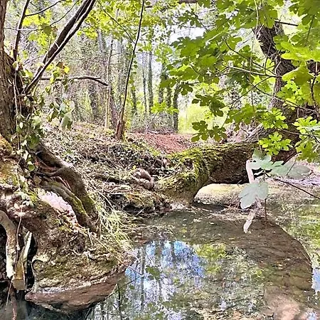 فندق Le Moulin Dumas 2*