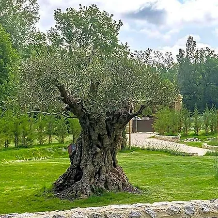 Le Moulin Dumas فندق غراينا